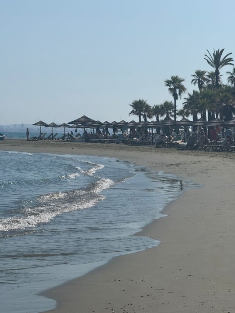 Larnaca beach with palm trees and sunbeds, ideal for exploring Cyprus by rental car.